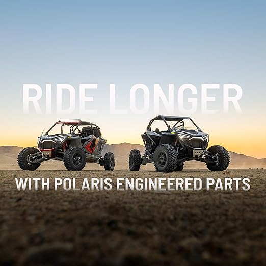 Polaris RZR Drive Belt