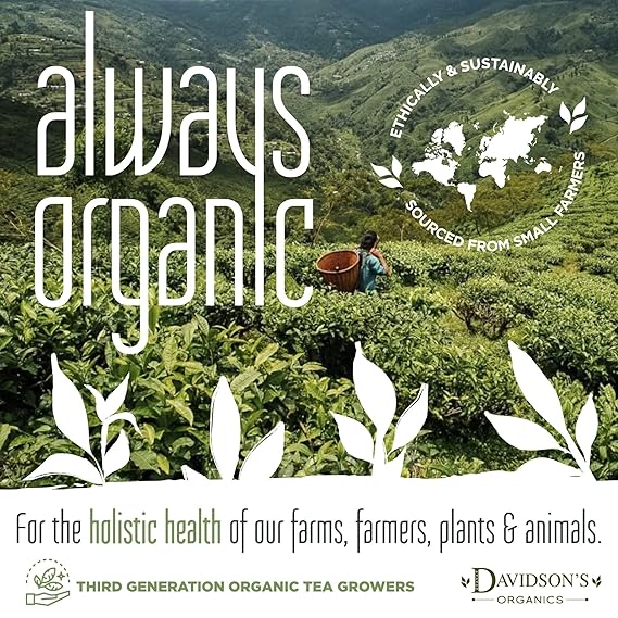 Davidson's Organics, Decaffeinated English Breakfast, Loose Leaf Tea, 16-Ounce Bag