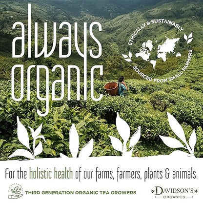 Davidson's Organics, Decaffeinated English Breakfast, Loose Leaf Tea, 16-Ounce Bag