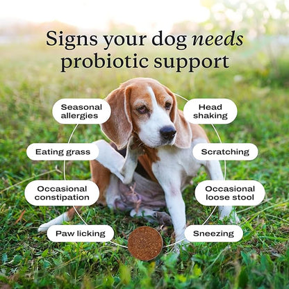 PetLab Co. Probiotics for Dogs, Support Gut Health, Occasional Diarrhea, Digestive Health & Seasonal Allergies - Pork Flavor - 30 Soft Chews - Packaging May Vary