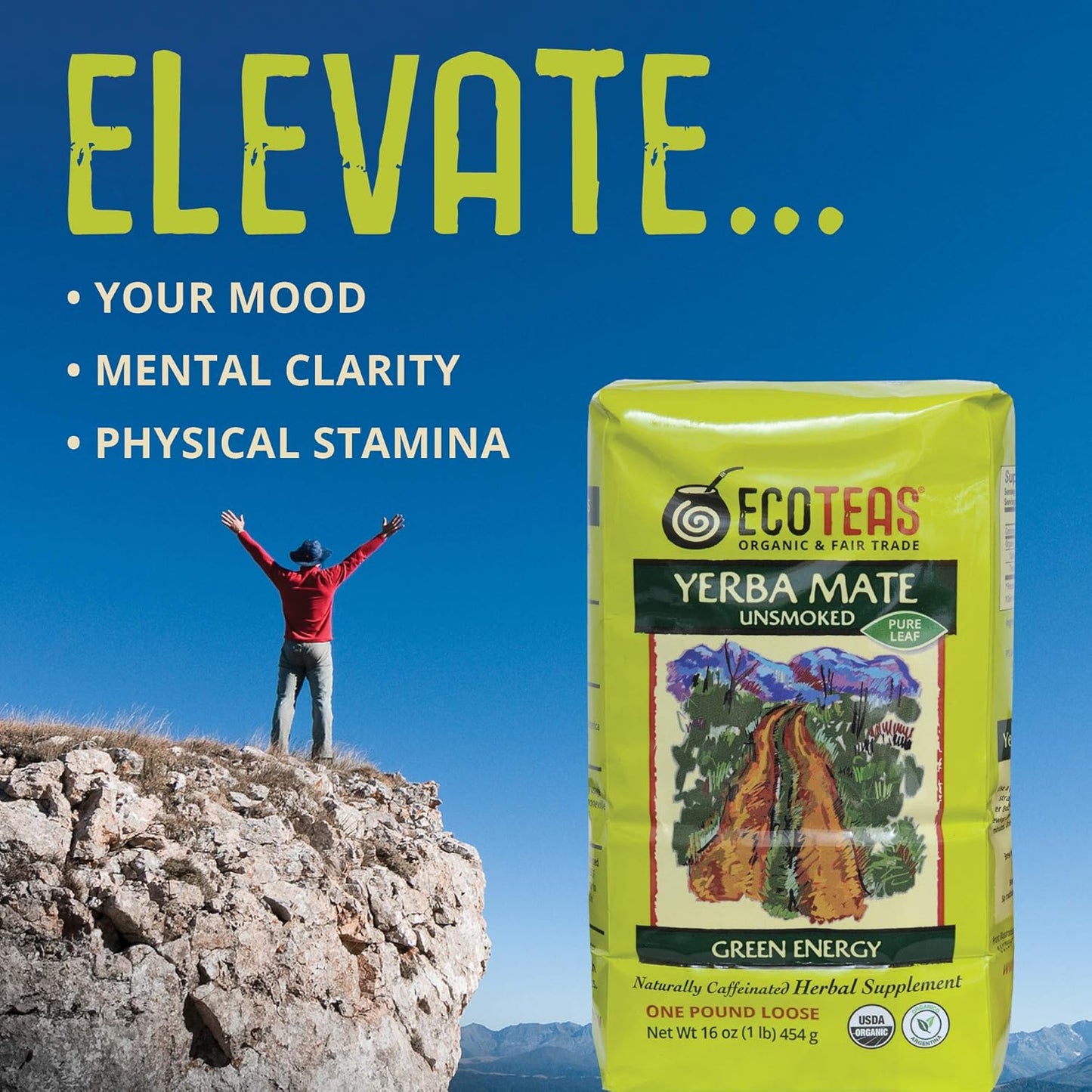 ECOTEAS Organic Yerba Mate Loose Leaf Tea – Natural Energy & Detox Herbal Tea – Coffee Alternative - Kosher, Non-GMO, Gluten-Free - Unsmoked Pure Leaf from Argentina, 1 lb (Pack of 1)