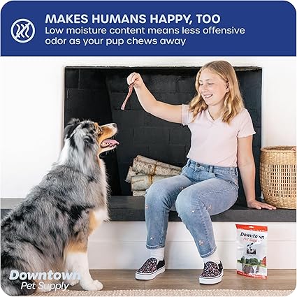 Downtown Pet Supply USA-Made Bully Sticks for Dogs (6", 30-Pack Regular) Rawhide Free Dog Chews Long Lasting Non-Splintering Pizzle Sticks - Low Odor Bully Sticks for Large Dogs