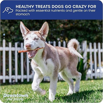 Downtown Pet Supply USA-Made Bully Sticks for Dogs (6", 30-Pack Regular) Rawhide Free Dog Chews Long Lasting Non-Splintering Pizzle Sticks - Low Odor Bully Sticks for Large Dogs