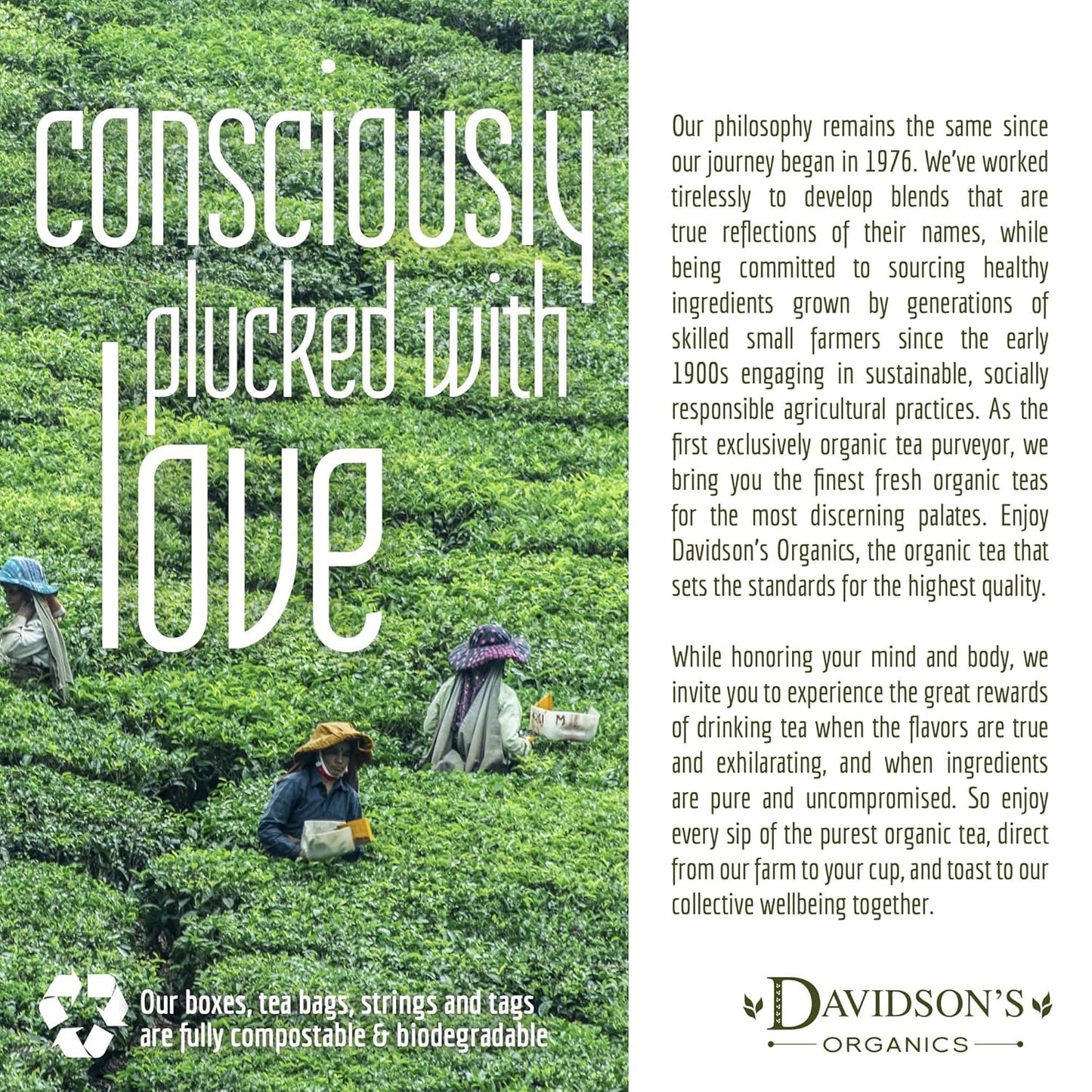 Davidson's Organics, Decaffeinated English Breakfast, Loose Leaf Tea, 16-Ounce Bag